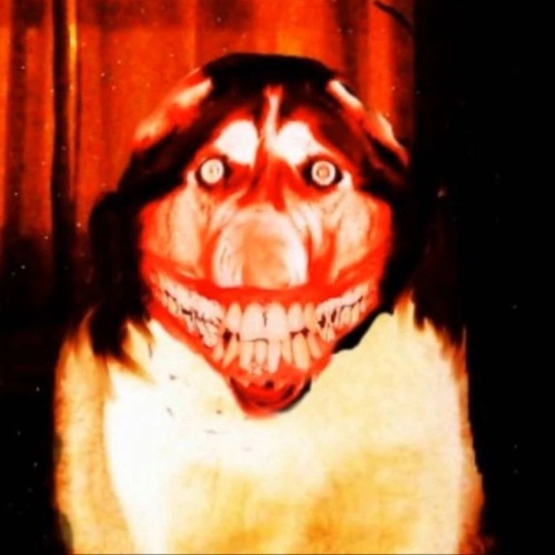 Rotting (popkill acoustic cover)