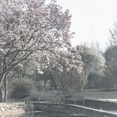 апрель (22kageyoshi)