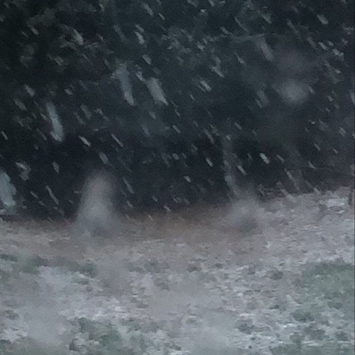 bitter (prod. lurks)