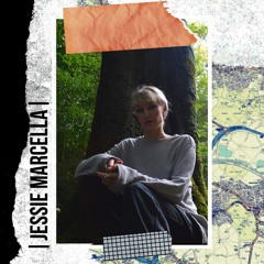 UP NORTH TRIP MIX 004 (JESSIE MARCELLA)