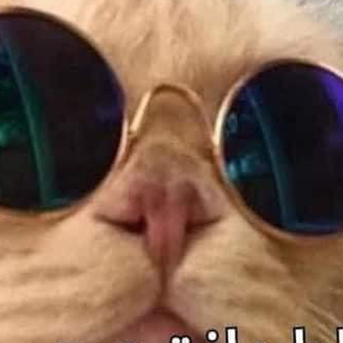 على مين بقى شدين حيلكو مهرجان (شايف غلك)| محمود معتمد حمادة ابو السعود ويدا العميد | اسلام ساسو 2020