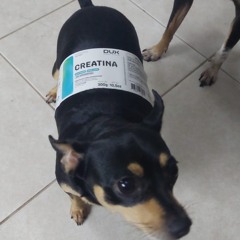 PETROSKI LIVE SET at 2800 MUSIC CLUB.