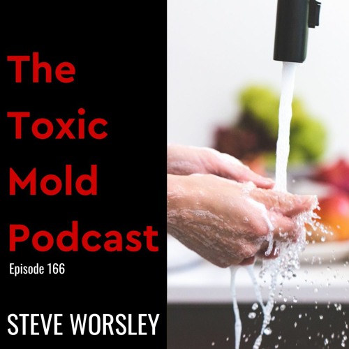 EP 166: Daily Habits That Lead to Toxic Mold Infestations