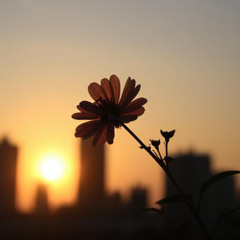Blossoming