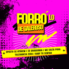 Forró de Galeroso 1.0: Oposto Se Atraem / Zé Droguinha / Me Solta Poha  / Tolerancia Zero / Baby Tu Sentar