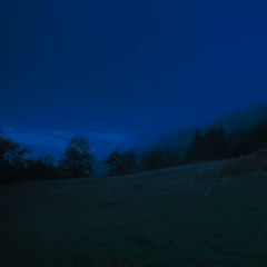 Night Tide