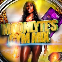 Moonlyte's (Personal) Gym Mix (Hardcore)