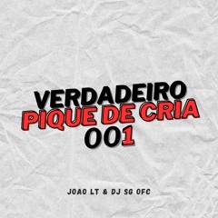 VERDADEIRO PIQUE DE CRIA 001 ( ( DJs SG & JOAO LT ) )