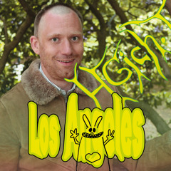 Dr. Geilser Hardstyler