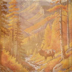 Lonely Elk