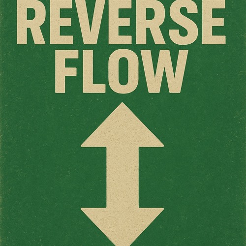 Reverse Flow (Prod.Izzymadeitt)