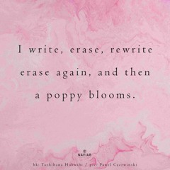I Write, Erase, Rewrite ( Naviarhaiku 557 )