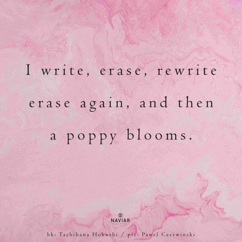 I Write, Erase, Rewrite ( Naviarhaiku 557 )