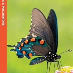PDF✔read❤online Texas Butterflies & Pollinators: A Folding Pocket Guide to Famil