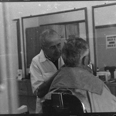 Los pájaros son inteligentes pero no saben hablar (Valdivia/11/12/club momä)