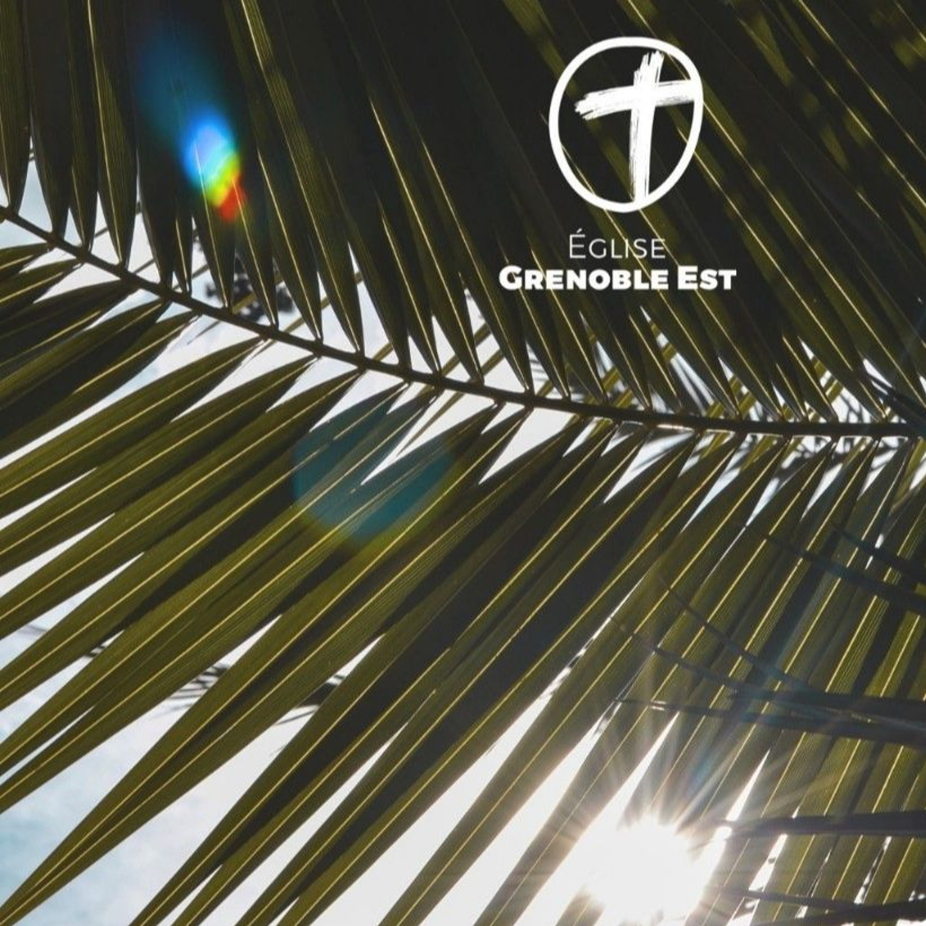 Besoin de quoi? [Jean 12.12-36]