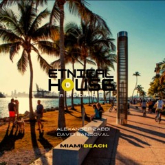 Alexander Zabbi, David Sandoval - Miami Beach (Original Mix)