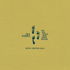 We All Walk Our Own Roads (feat. Trevor Hall)