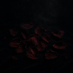 rose petals「prod. mwanda」