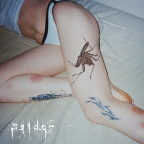 s3g - Spider
