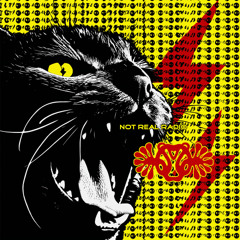 Episode 504 - Westbank Rumble Review