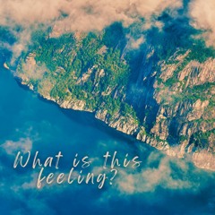 What Is This Feeling? (remix)