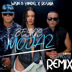 Wisin & Yandel X Rosalia - Besos Moja2 ( Saky69 Tech House Remix )