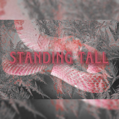standing tall (official audio)