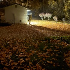 FALLEN ANGEL (feat.$ALVO)