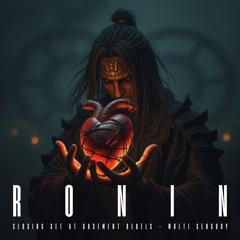 R O N I N @ Multi-Sensory | Tehran Underground 09bahman403 (closing set)
