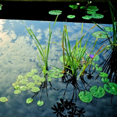 Stamp The Wax Monday Morning Mixtape 298