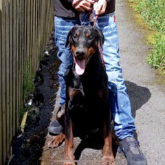 One for me, bassline