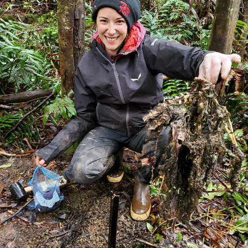 In conversation with Dr Laurel Lynch: How do Tasmanian devil diets affect ecosystems?