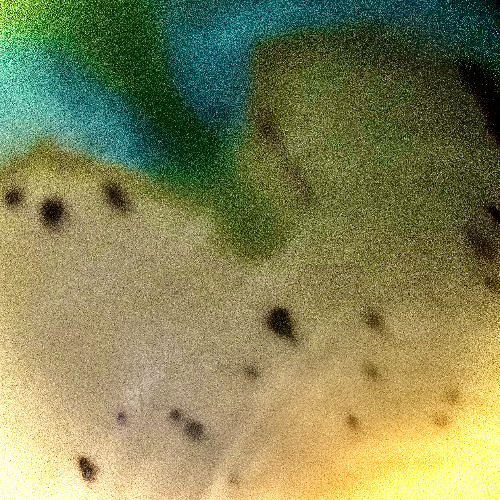 ENTOPIA (2021)