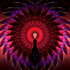 Butterfly Vortex
