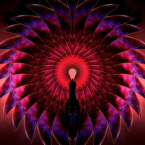 Butterfly Vortex