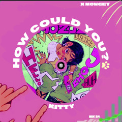 Kitty - How could you(Edit)