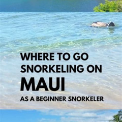 Best Snorkeling Beach In Maui For Beginners Prices Reviews