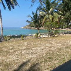 Friends at the Beach2025