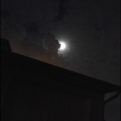 كوني كذا على صدور البنيات