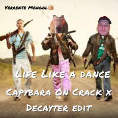 Paul Elstak - Lifes like a dance (Capybara on Crack & Decayter Uptempo Edit) [EXTENDED]