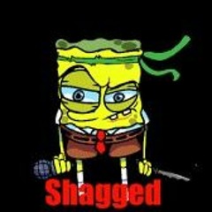 (FNF Shagged) Shagged but normal