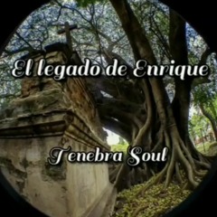 El Legado De Enrique, Historia Narrada