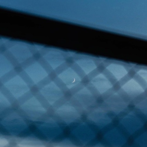 light essence, izumo