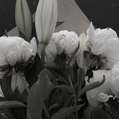 المعوذات و آية الكُرسي | مشاري العفاسي