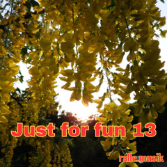 Just for Fun 13