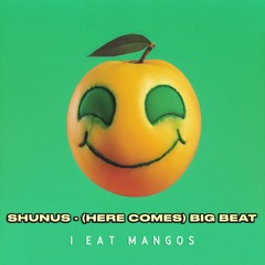 (Here Comes) Big Beat - Shunus