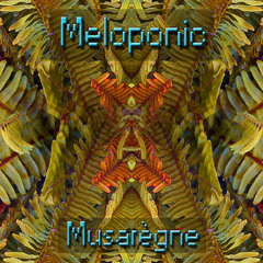 Meloponic