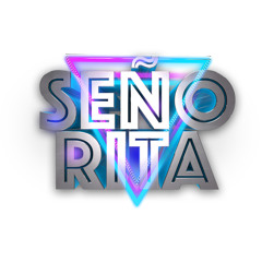 Señorita (Dayvi Español Bootleg)