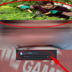 TON PER LE JARDiNË (jean du jardin)